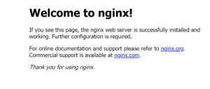 nginxのウェルカムページ